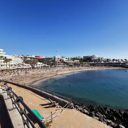 Palmeras Del Sur